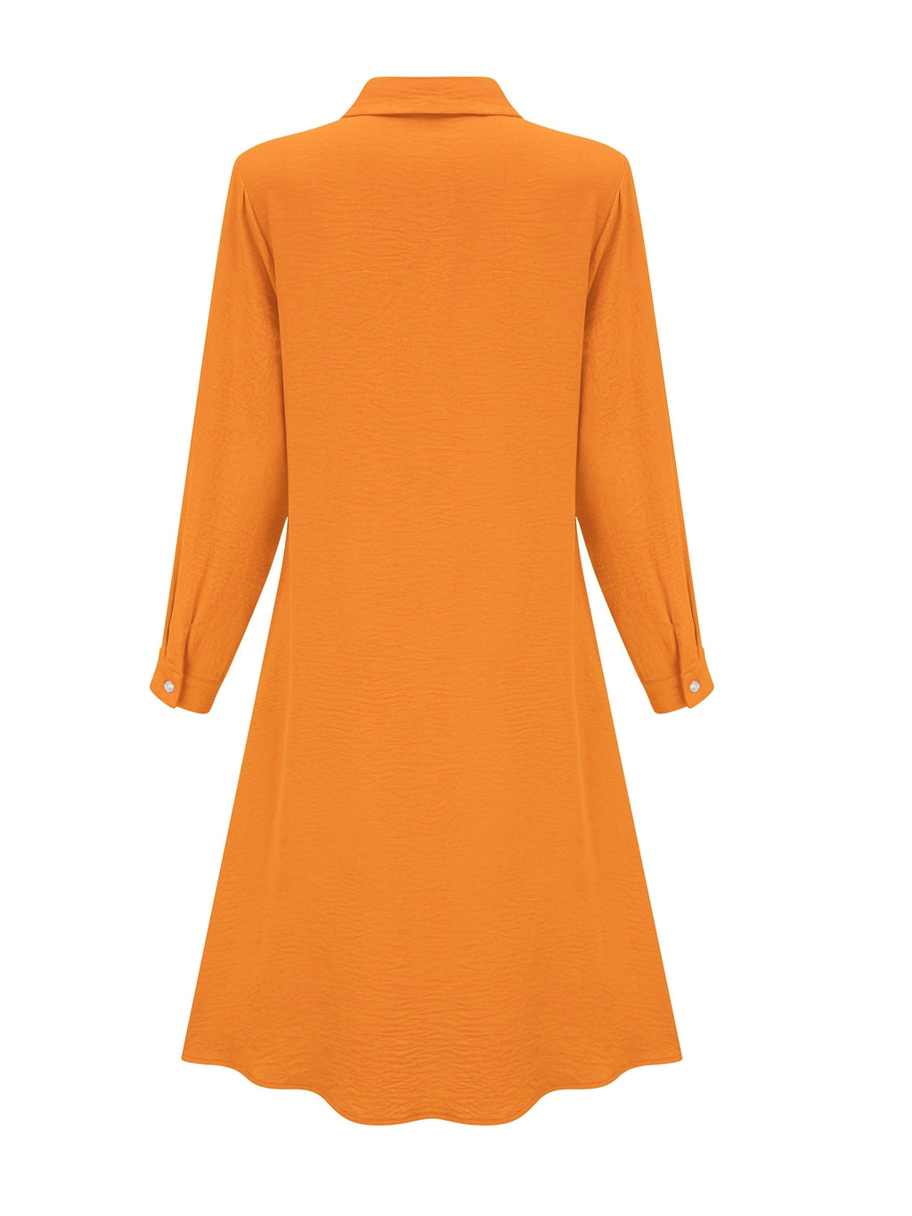Long sleeve lapel button-front shirt dress | Alba Muse