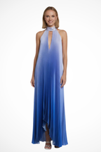 Women's wedding guest maxi dress with halter neckline and floral multi-colour print