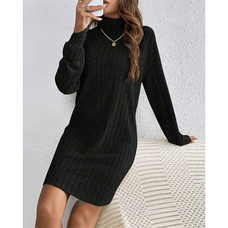 Light Grey Ribbed Roll Neck Mini Dress