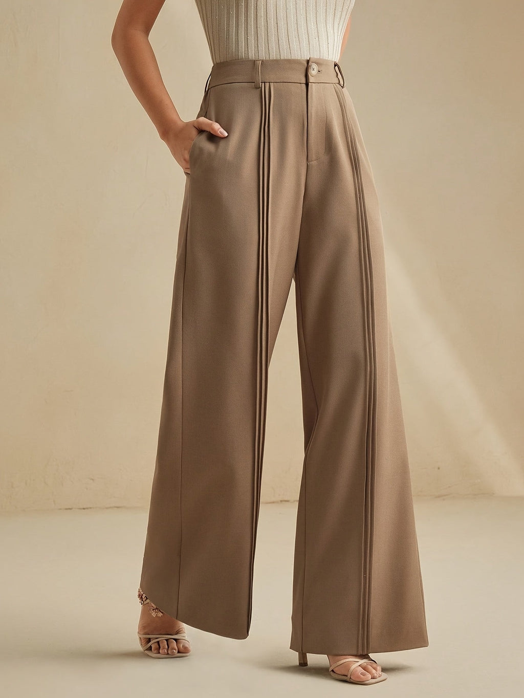 Brown pleated high-waist wide-leg Trousers
