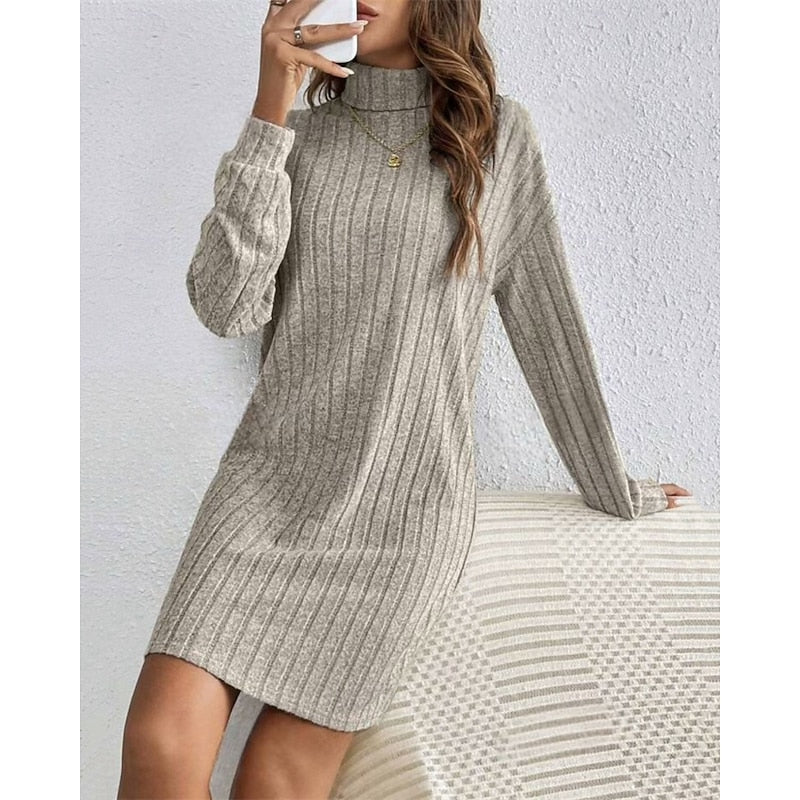 Light Grey Ribbed Roll Neck Mini Dress