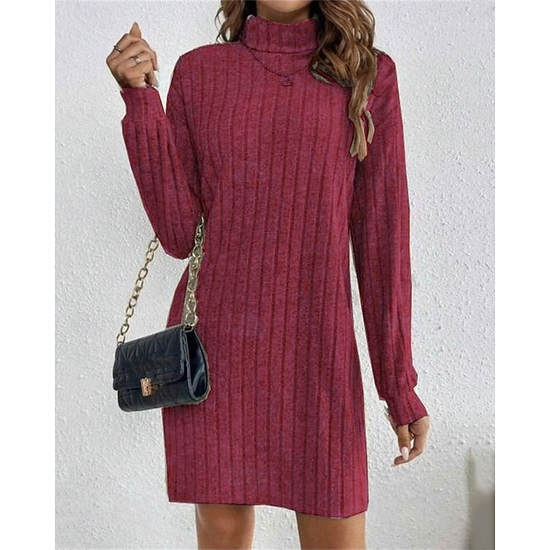 Wine Ribbed Roll Neck Mini Dress
