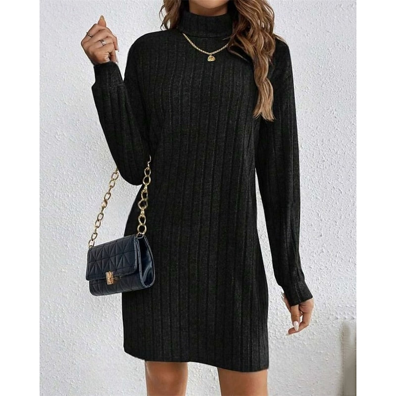 Black Ribbed Roll Neck Mini Dress