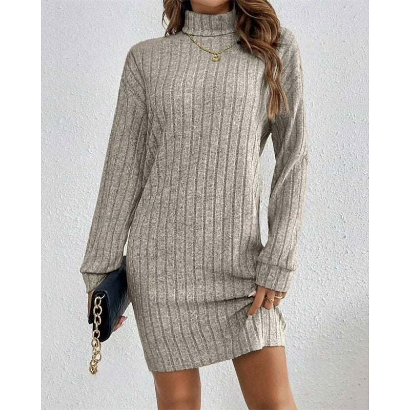 Light Grey Ribbed Roll Neck Mini Dress